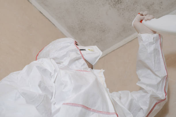 Best Mold Testing  in Ridge Manor, FL